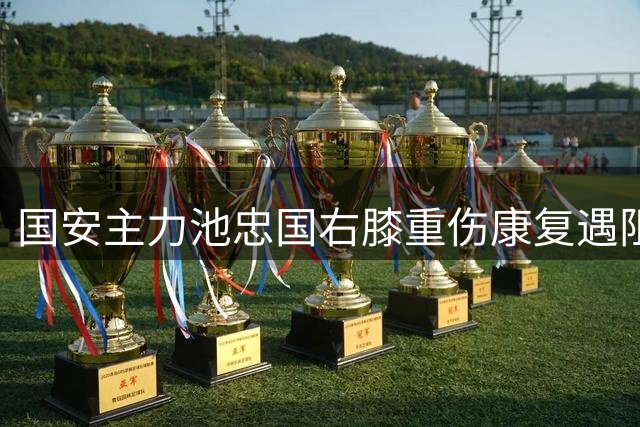 国安主力池忠国右膝重伤康复遇阻 或将缺席冬训备战